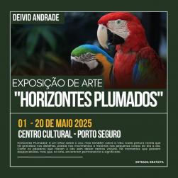 panfleto Exposio 'Horizonte Plumado'