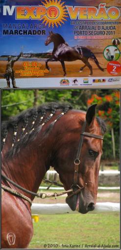 panfleto IV Expo Vero do Cavalo Mangalarga Marchador