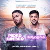 panfleto Noite da Virada - Pedro Sampaio e Parangol