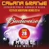 panfleto Budweiser Made for Music - Abertura do Vero 2014