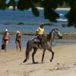 passeios de cavalo na praia